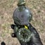 Small image 3