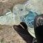Small image 6