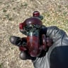 Small image 4