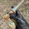 Small image 4