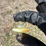 Small image 6