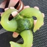 Small image 1