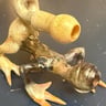 Small image 1