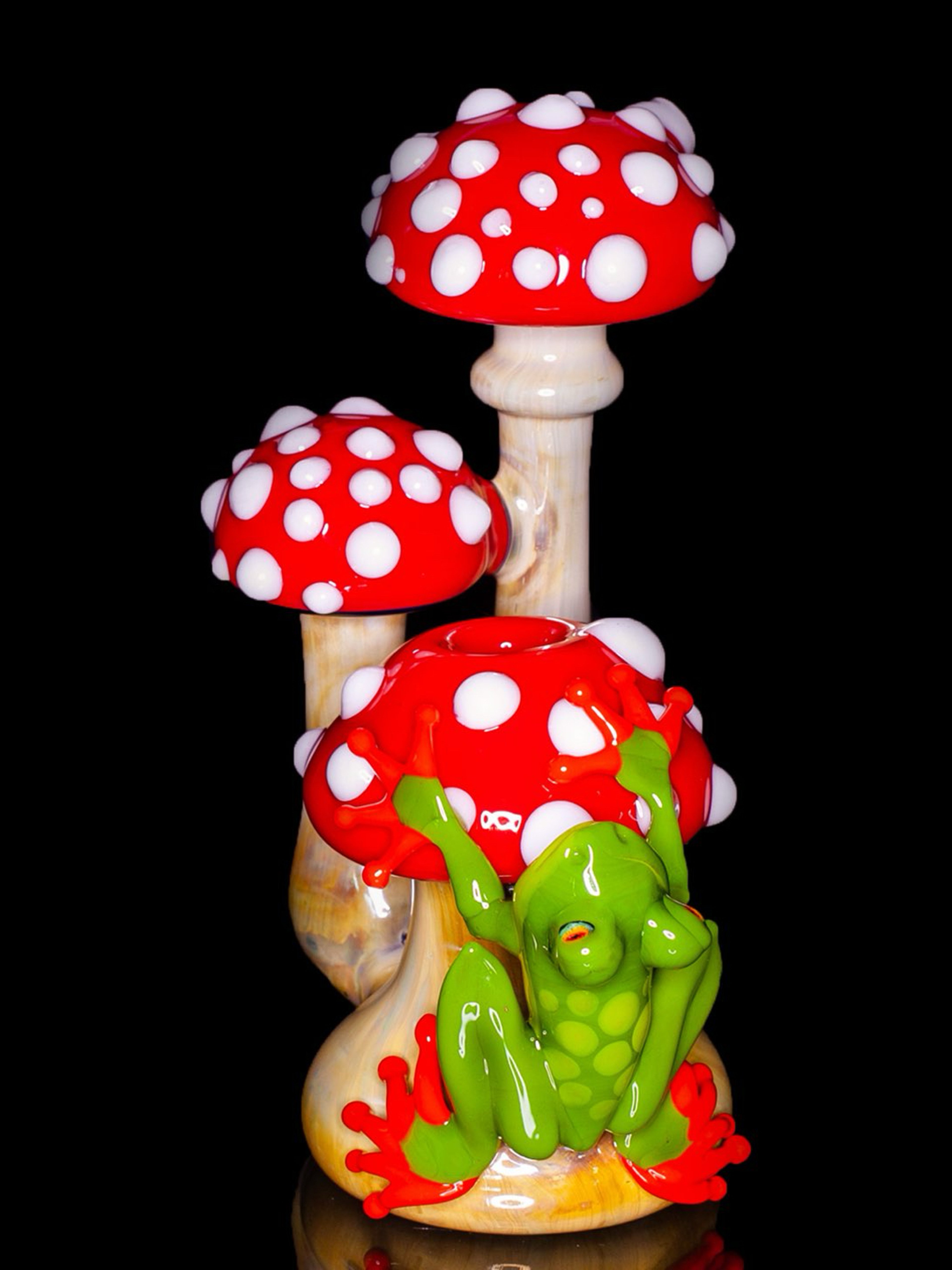 Preview pic of Hicdogg Glass Shroom rig