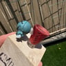 Small image 1