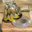 Small image 7