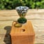 Small image 5