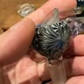Small image 2