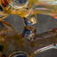 Small image 9