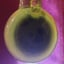 Small image 9