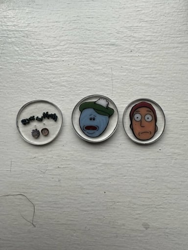 Preview pic of rick and morty millie coins