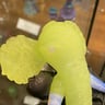 Small image 4
