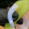 Small image 2