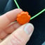 Small image 6