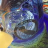 Small image 5