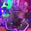 Small image 9