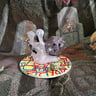 Small image 3