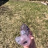 Small image 2