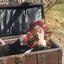 Small image 6
