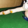 Small image 1