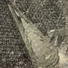 Small image 6