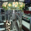 Small image 5
