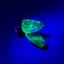 Small image 5