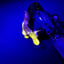 Small image 8