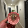 Small image 4