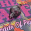 Small image 7