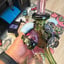 Small image 6