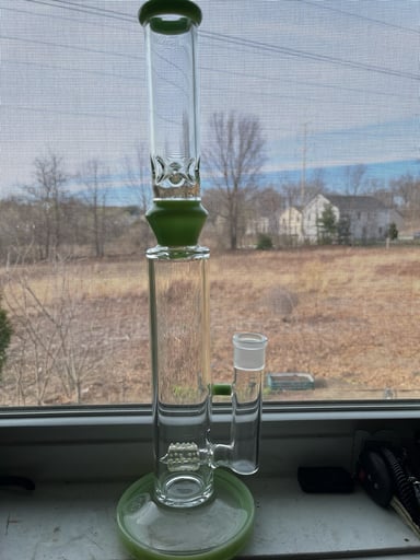 Preview pic of Green Greek kingstem splash gaurd