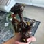 Small image 4