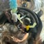 Small image 5