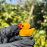 Small image 2