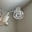 Small image 6