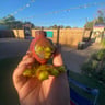 Small image 2