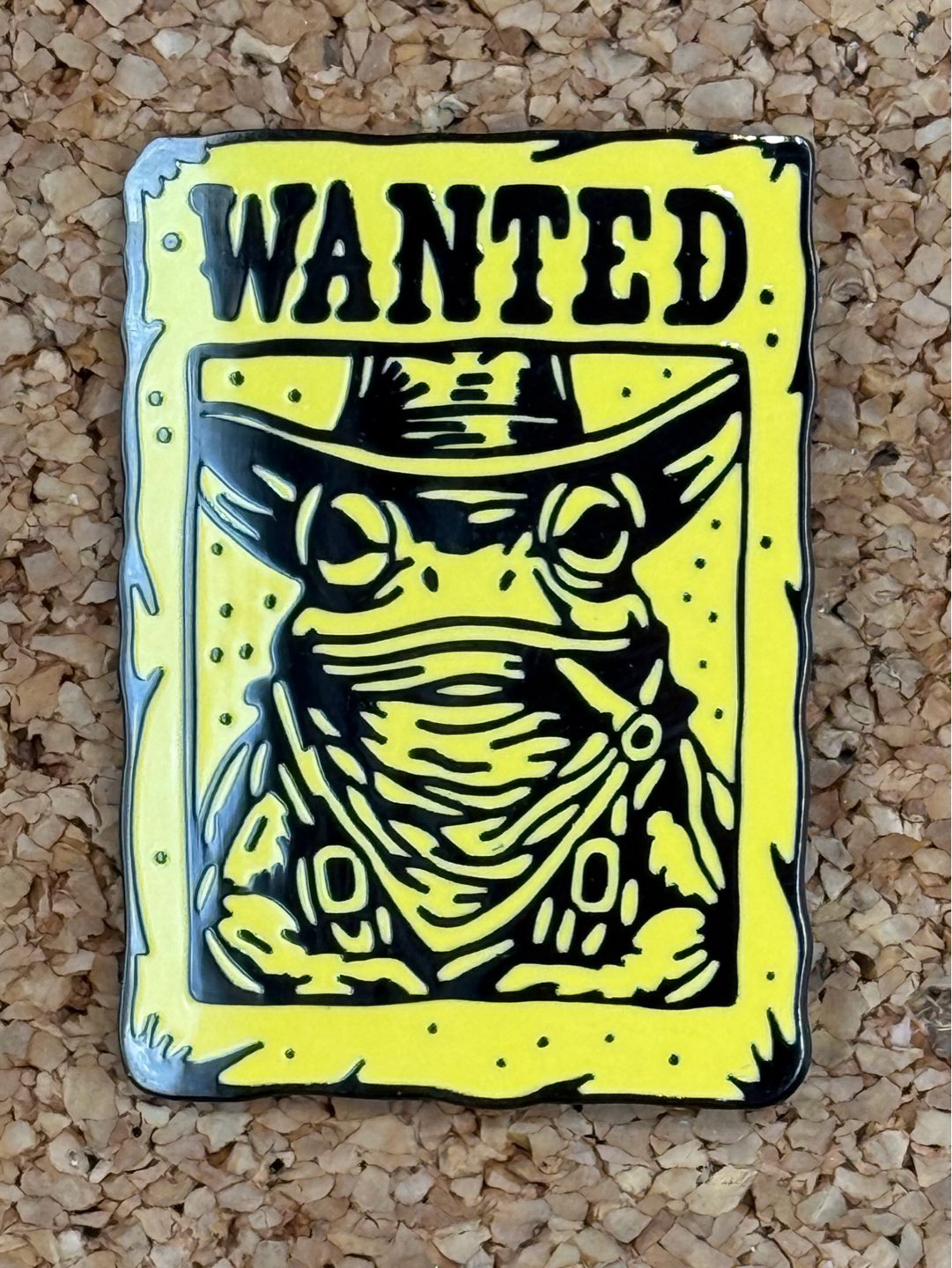 Outlaw frog pin image 0
