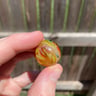Small image 4