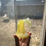 Small image 0