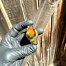 Small image 1