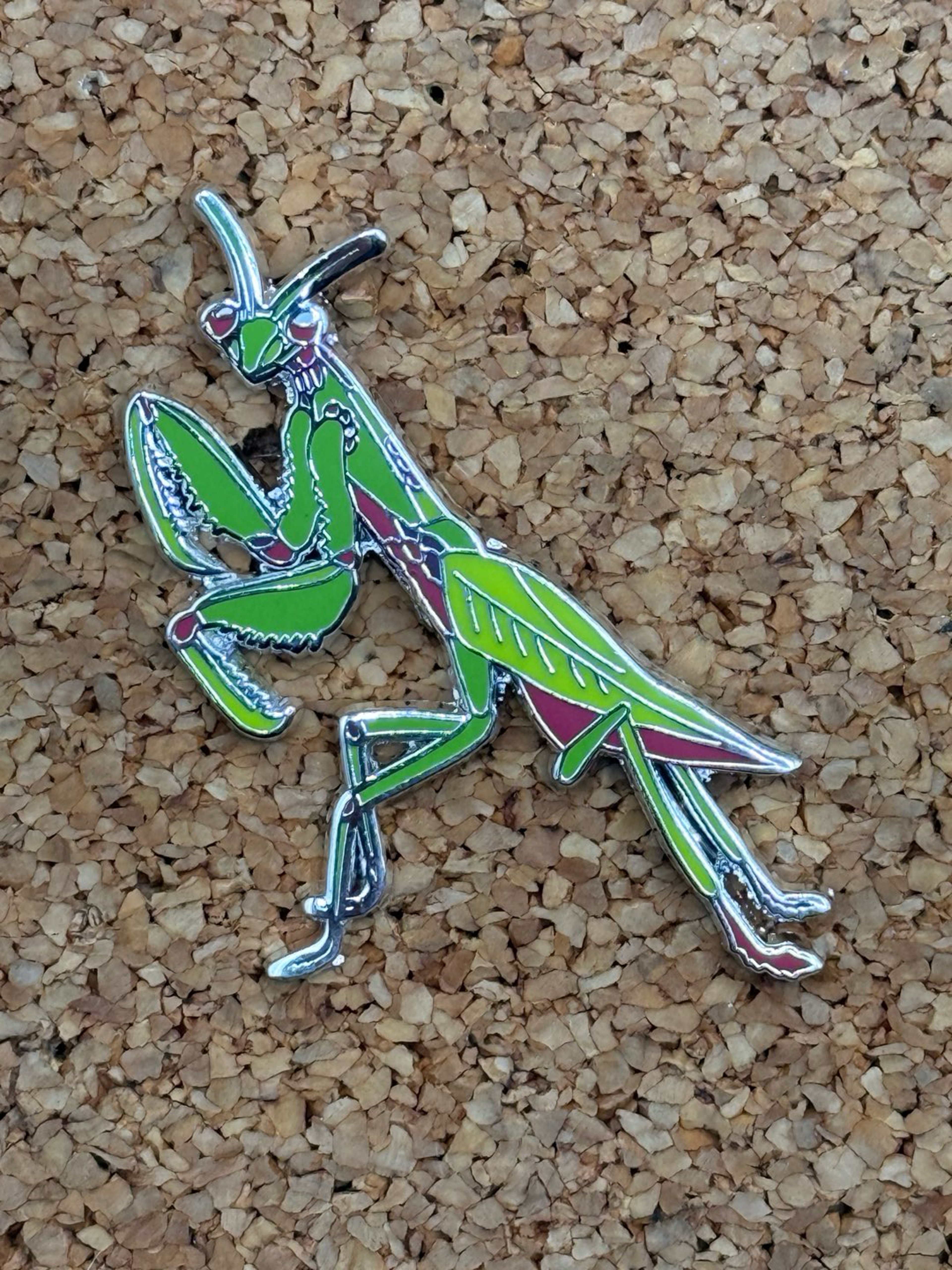 Praying mantis pin image 0