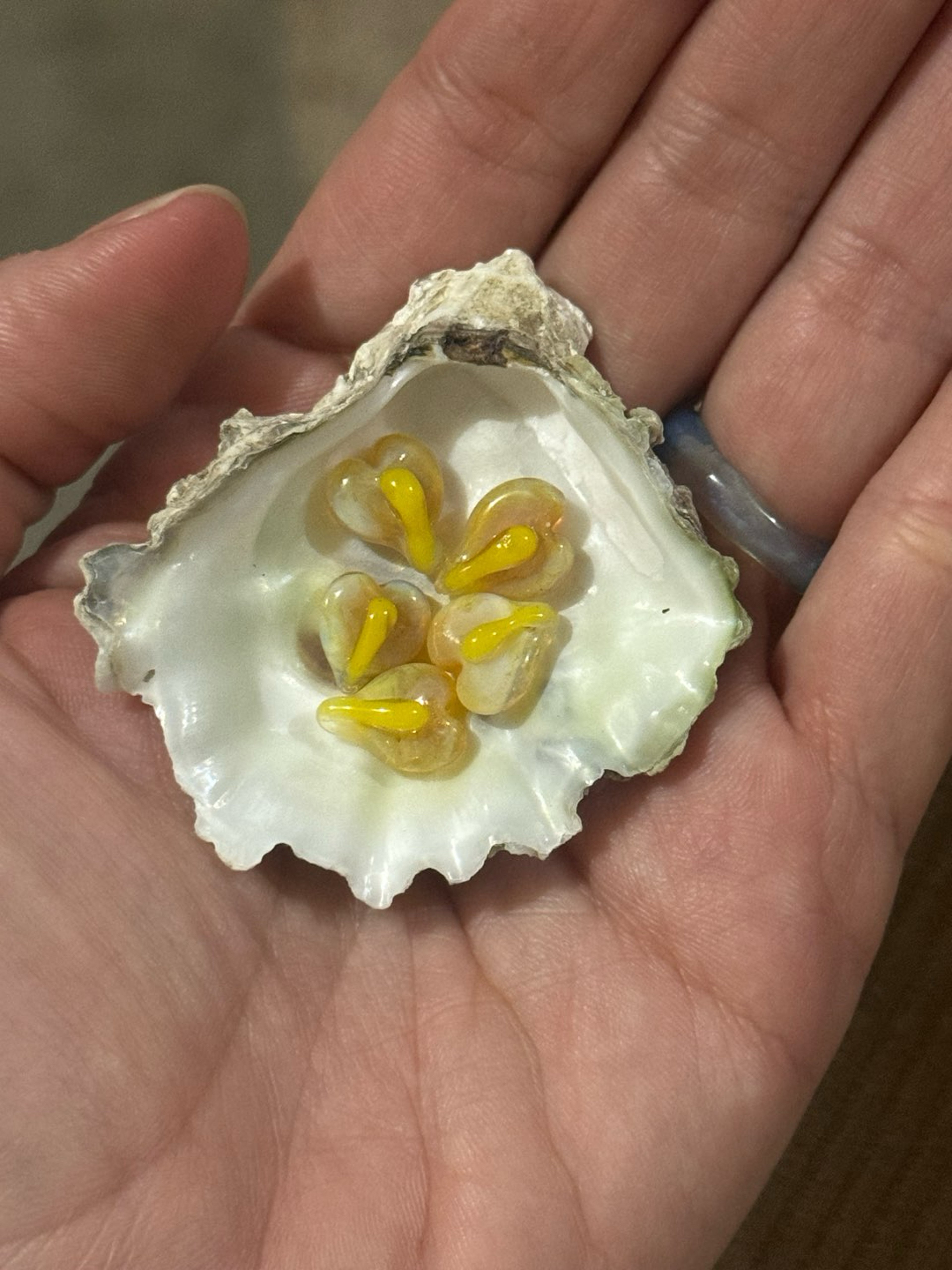 Preview pic of Anthurium Terp Pearls