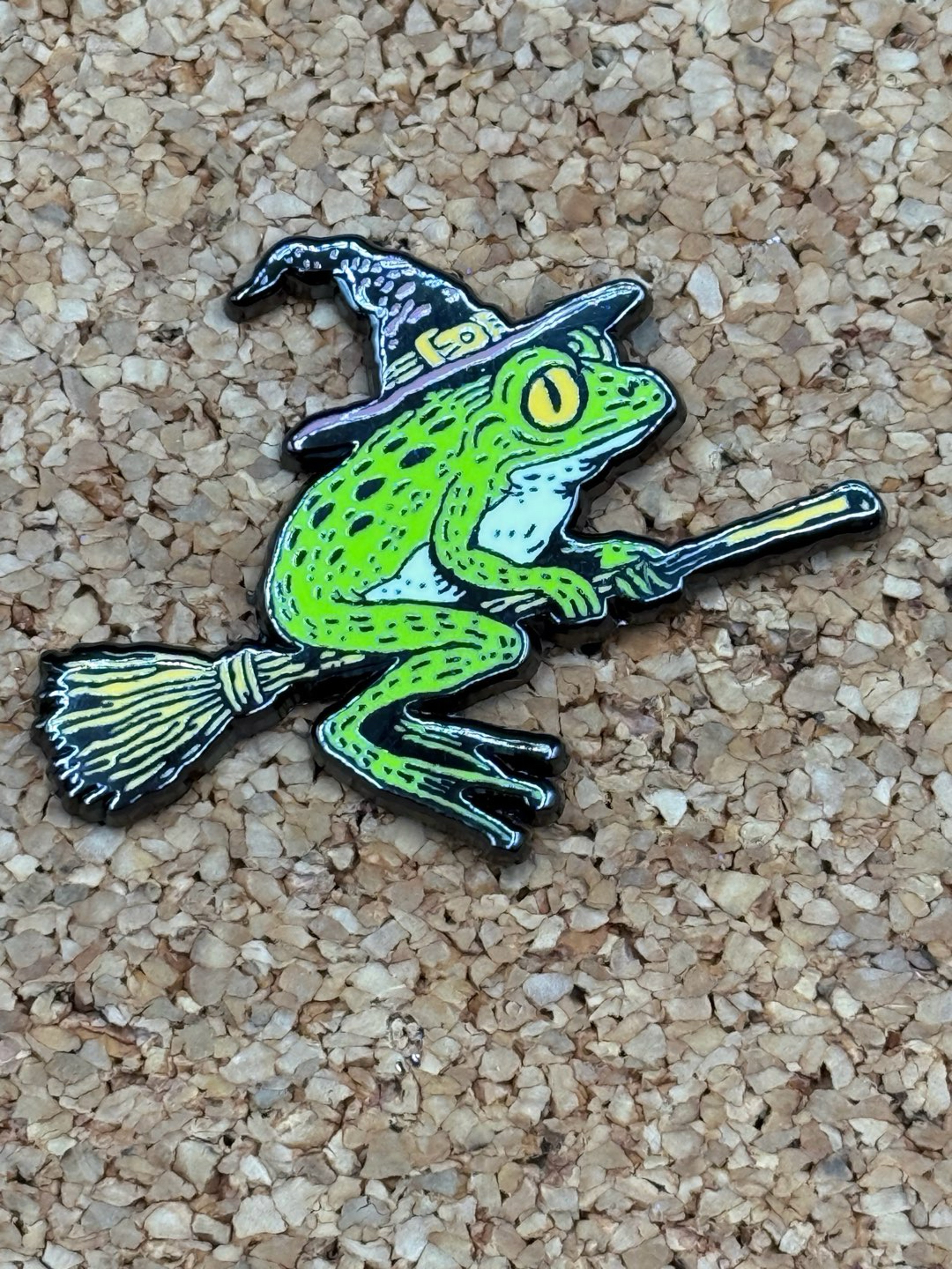 Preview pic of Witch frog pin