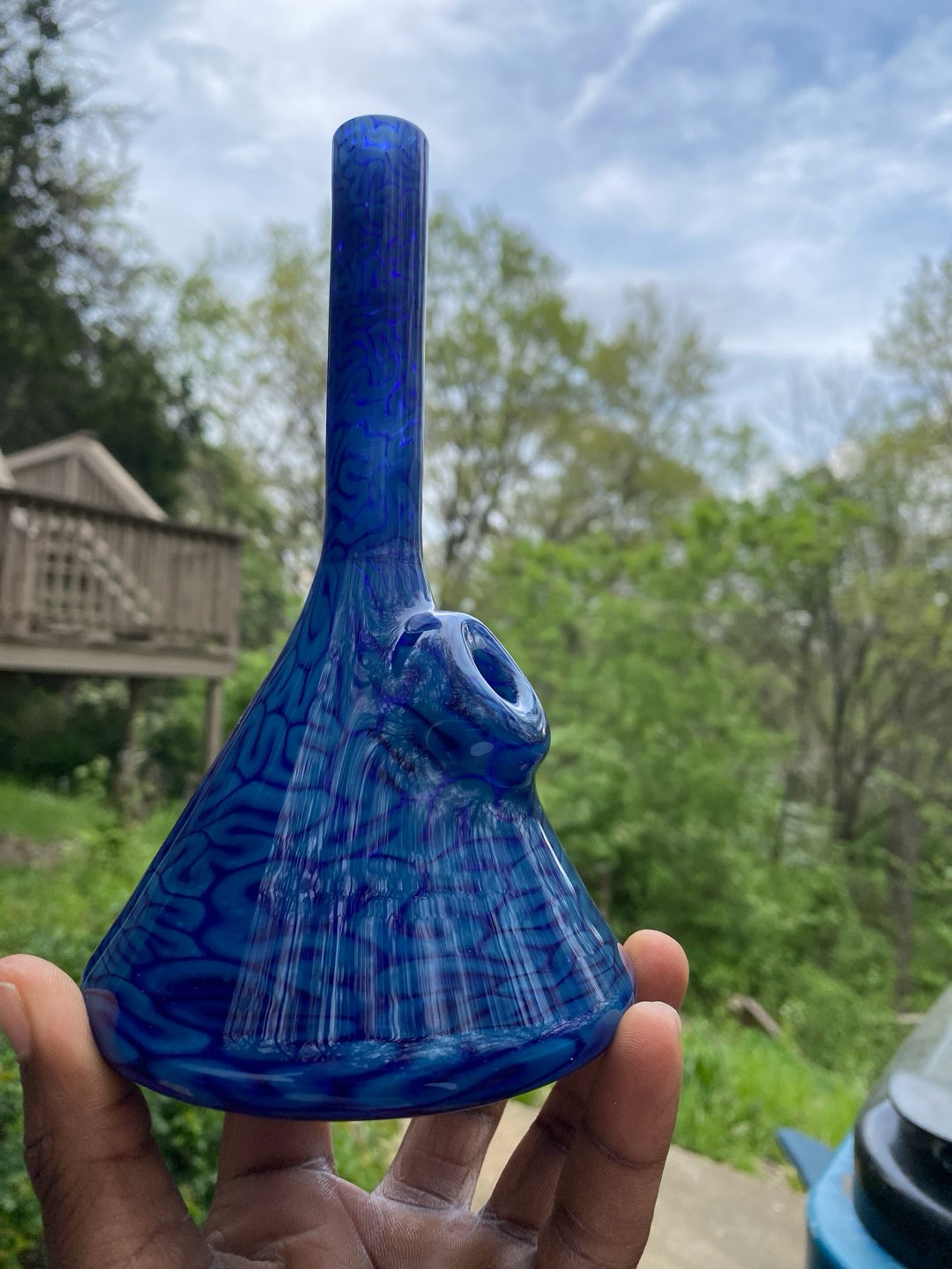 Preview pic of 2022 blue algae beaker