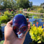 Small image 6
