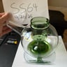 Small image 2