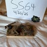 Small image 6