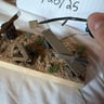 Small image 4