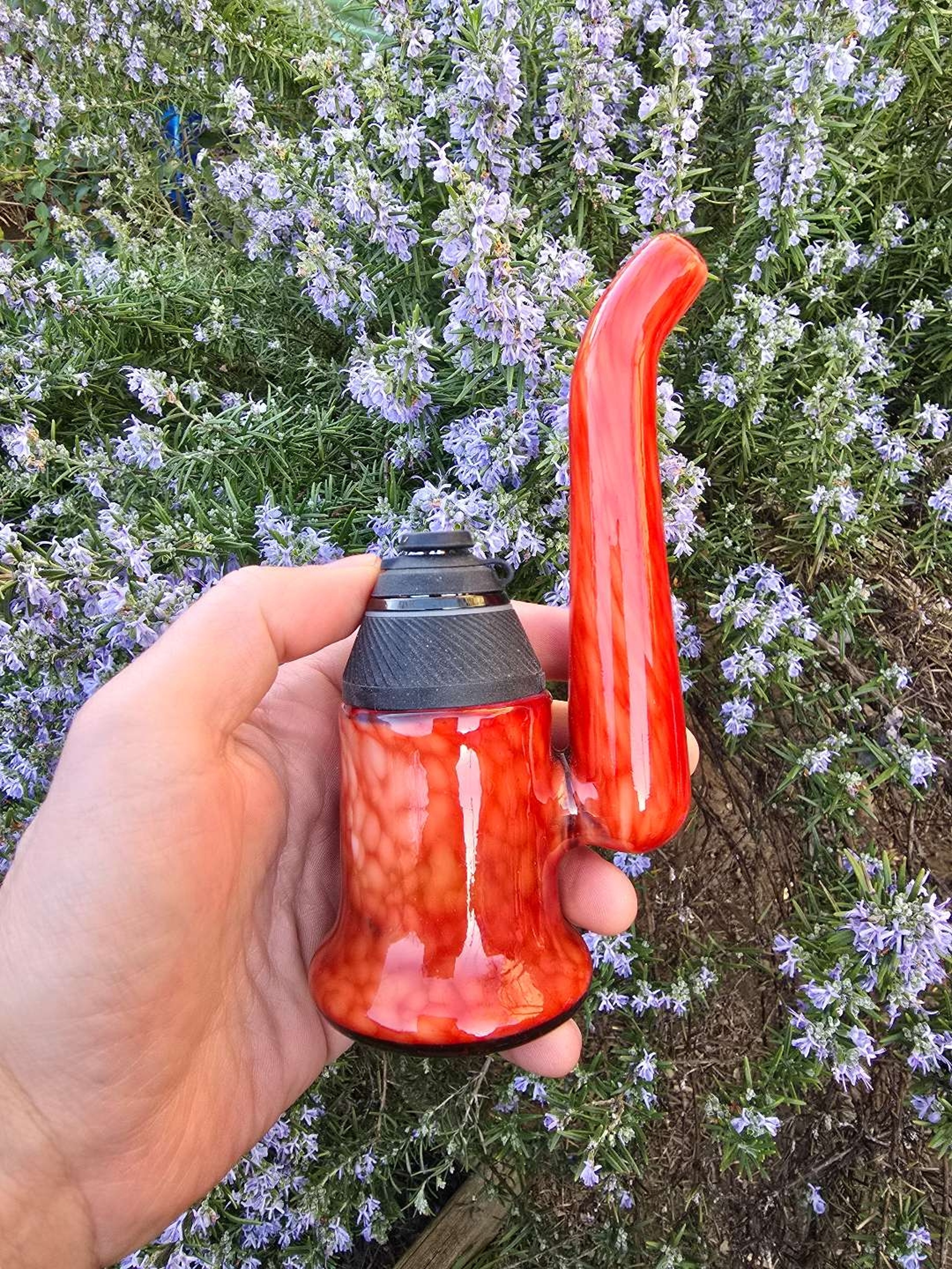 Preview pic of Red speckled proxy upright